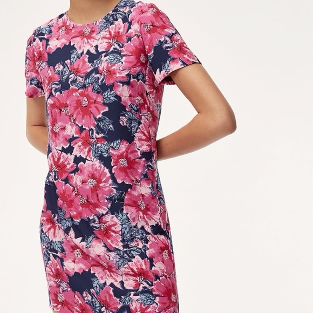 Aritzia Babaton Floral Pink and Navy Women's Mini Dress